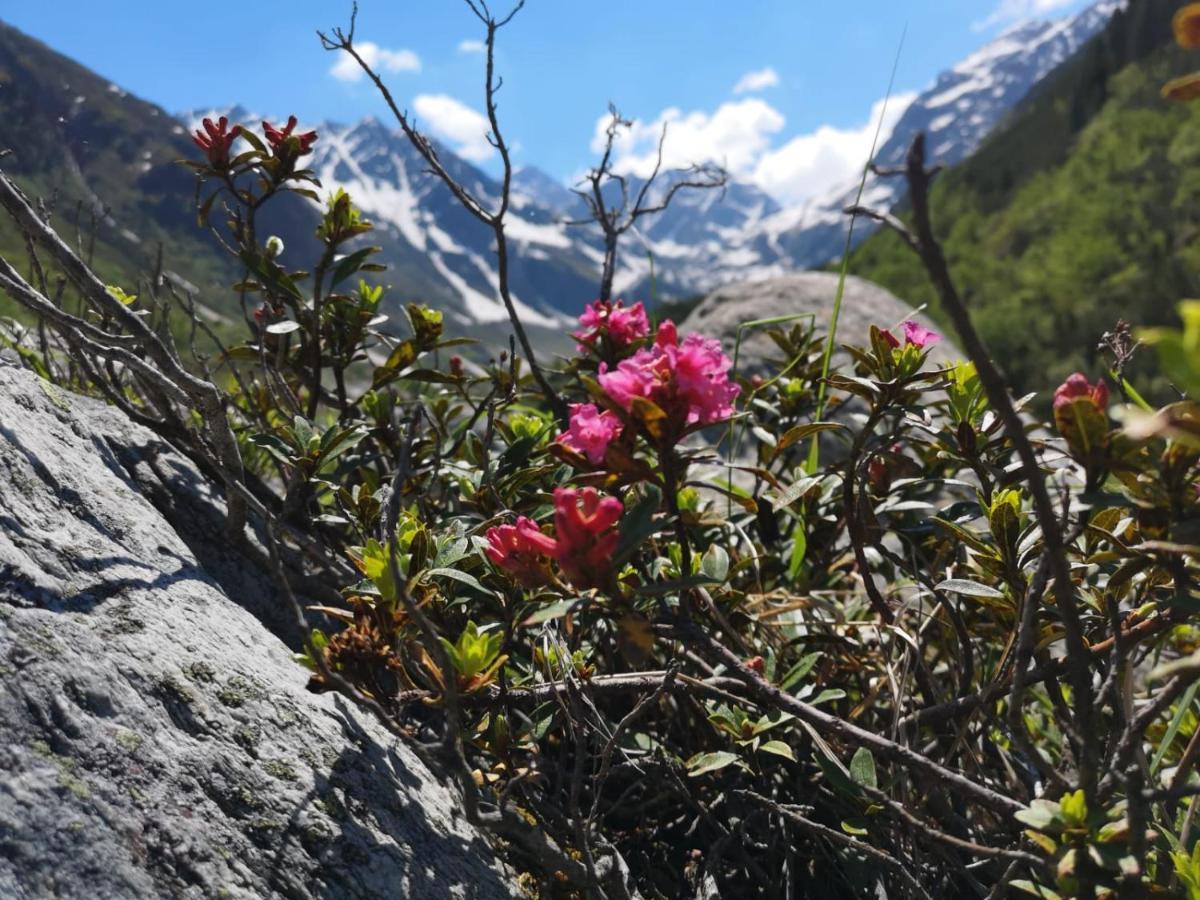 Piz-Hotel Sankt Leonhard im Pitztal Kültér fotó